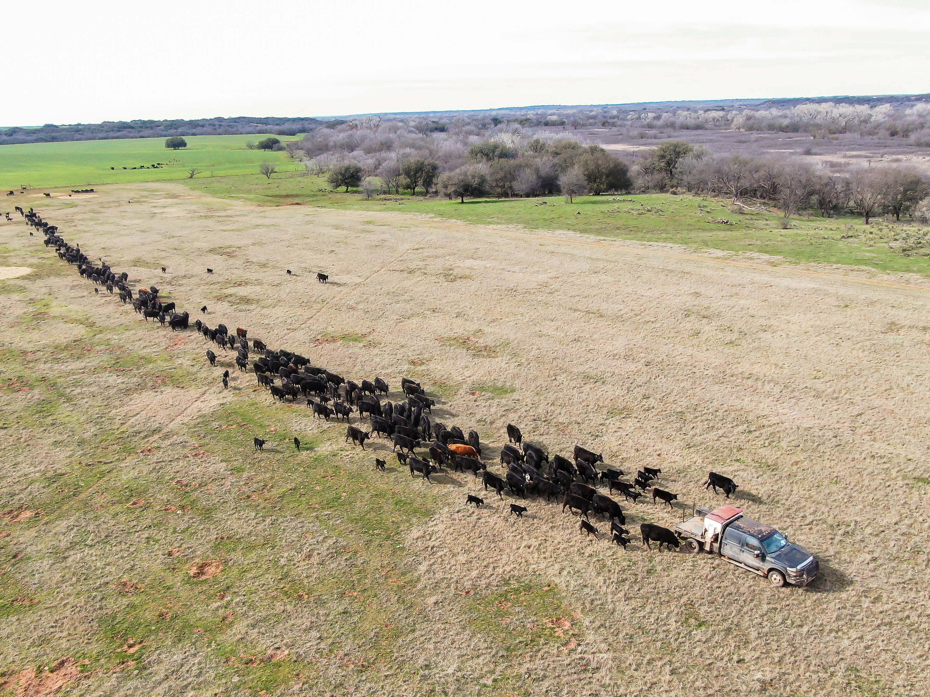 Trip Hopper DJI 0190.jpg